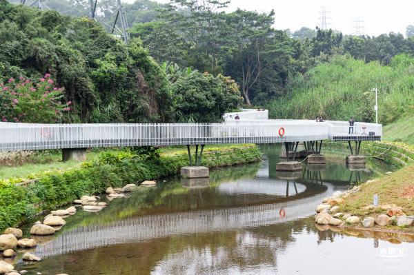 罗湖白色溪流栈道