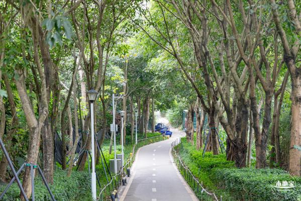 罗湖白色溪流栈道
