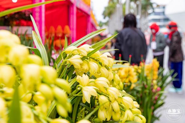 盐田花市