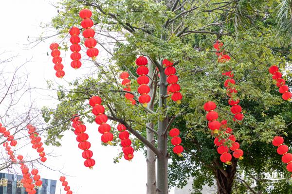 盐田花市
