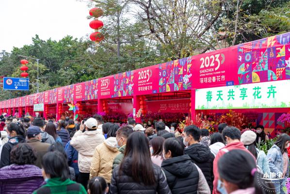 深圳迎春花市