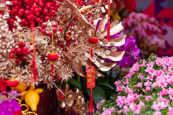 深圳迎春花市