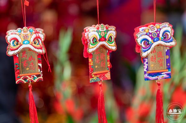 深圳迎春花市