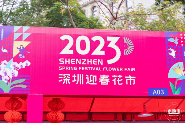 深圳迎春花市