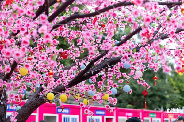 深圳迎春花市