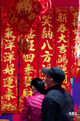 深圳迎春花市