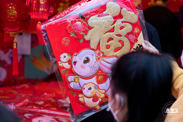 深圳迎春花市