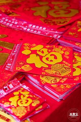 深圳迎春花市