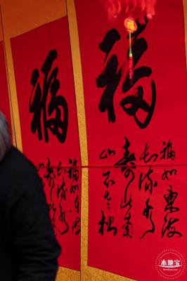 深圳迎春花市