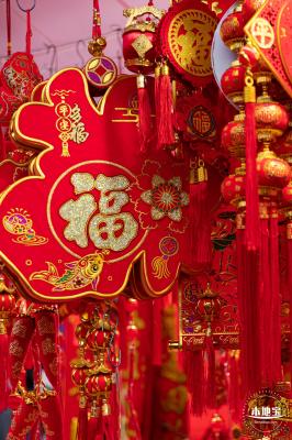 深圳迎春花市