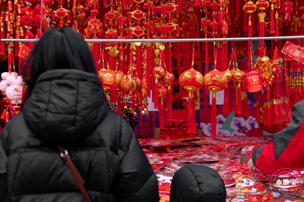 深圳迎春花市