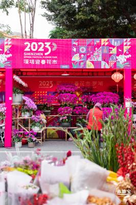 深圳迎春花市