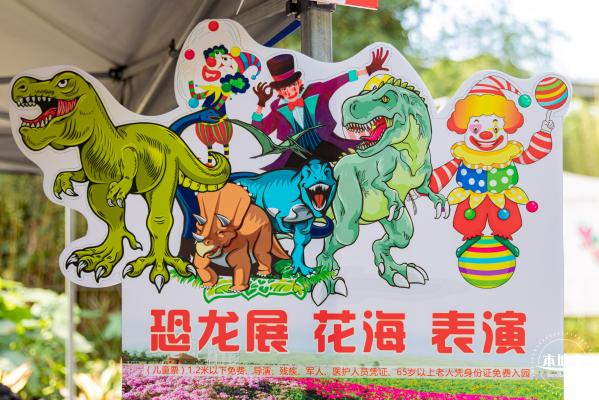 甘坑都市田园花海