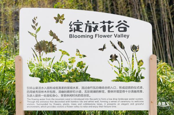 甘坑都市田园花海