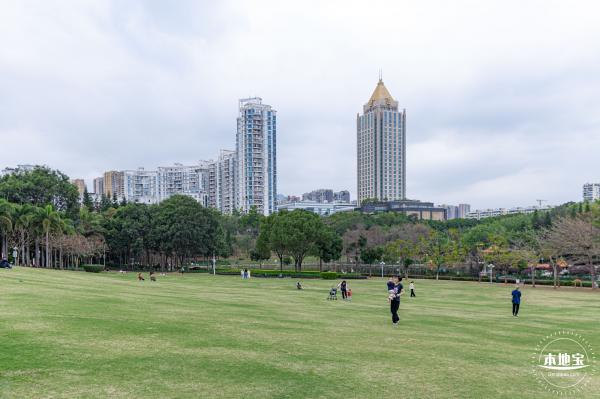 龙潭公园月季