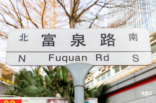 富泉路-紫花风铃木