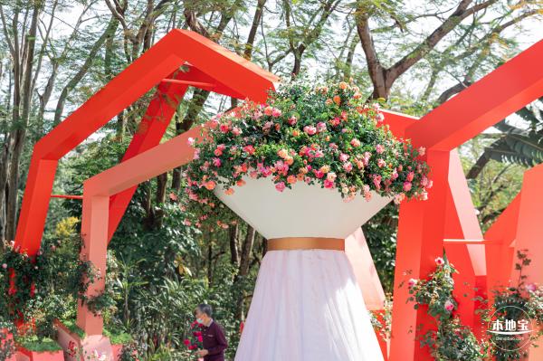 2023深圳月季花展