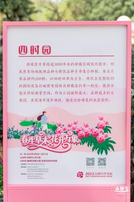 2023深圳月季花展