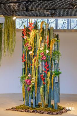 2023深圳月季花展