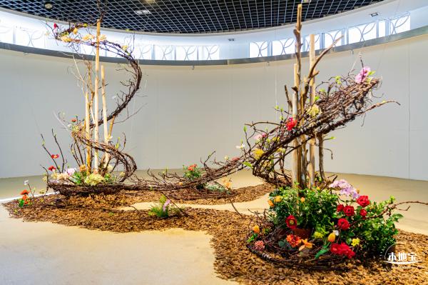 2023深圳月季花展