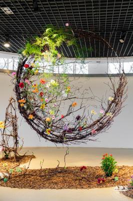 2023深圳月季花展