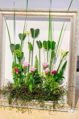 2023深圳月季花展