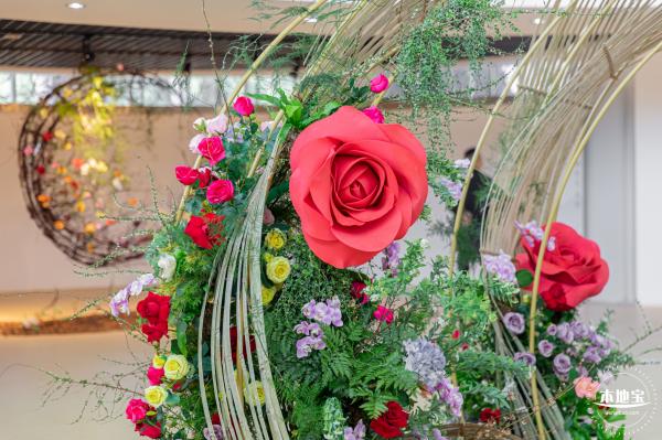 2023深圳月季花展