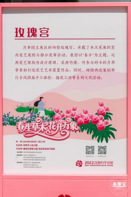 2023深圳月季花展