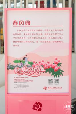 2023深圳月季花展