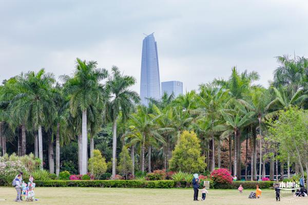 簕杜鹃专类园(毓秀园)