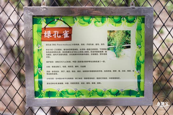 东湖趣味动物苑