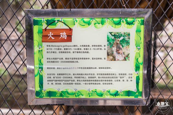 东湖趣味动物苑