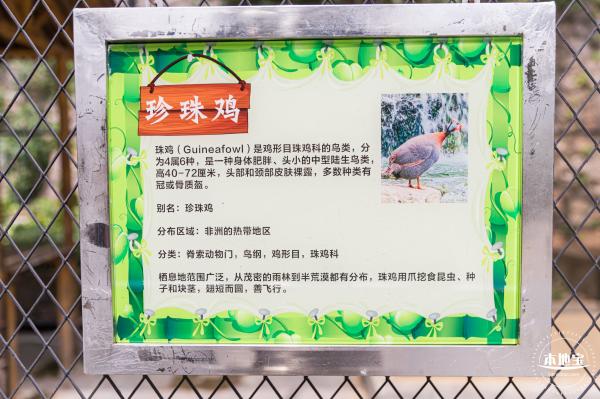 东湖趣味动物苑
