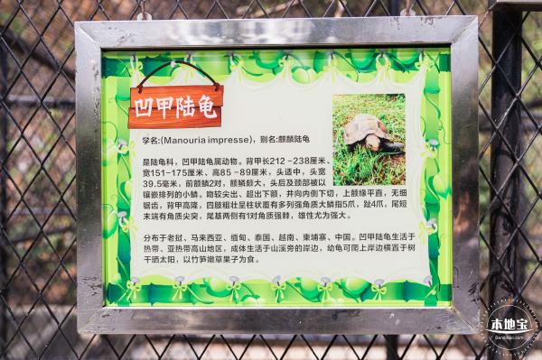 东湖趣味动物苑
