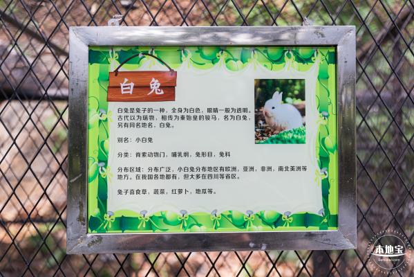 东湖趣味动物苑