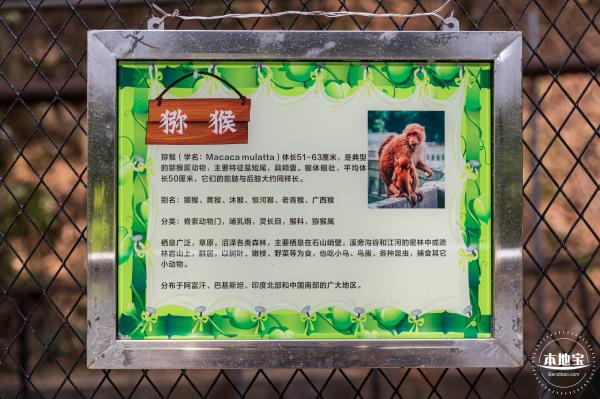 东湖趣味动物苑