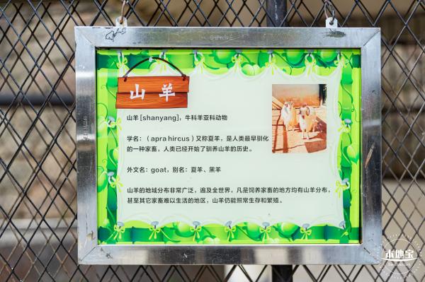 东湖趣味动物苑