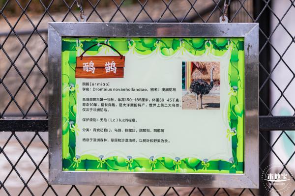 东湖趣味动物苑
