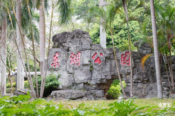 东湖公园禾雀花
