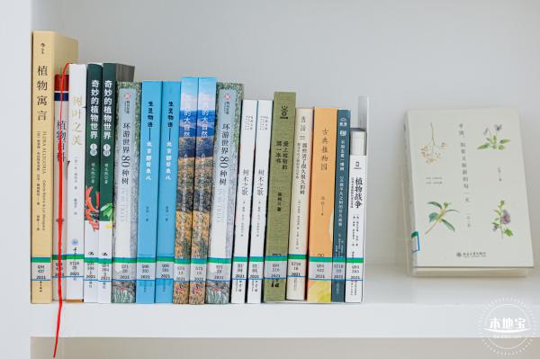 栖息图书馆
