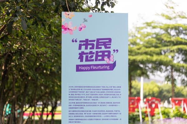 市民中心马鞭草