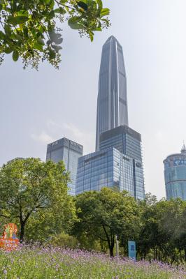 市民中心马鞭草