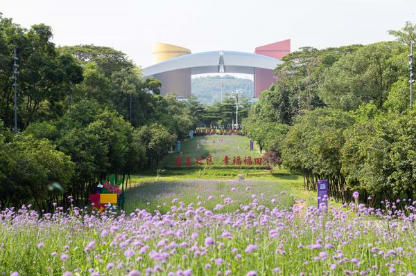 市民中心马鞭草