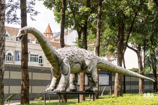 深圳森林体育公园