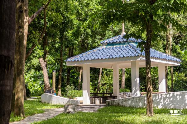 深圳森林体育公园