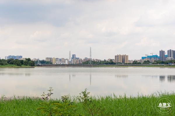 光明明湖公园