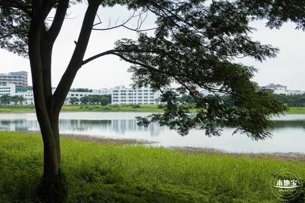 光明明湖公园