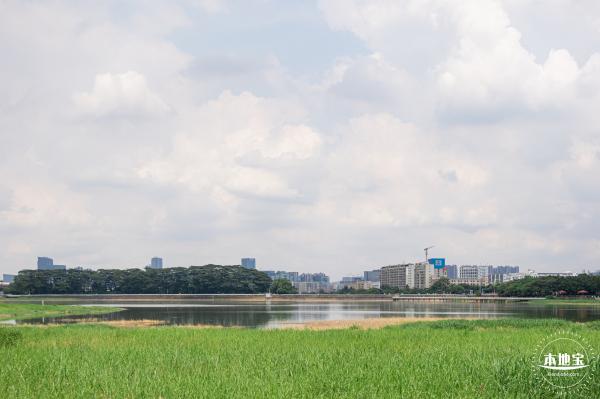 光明明湖公园