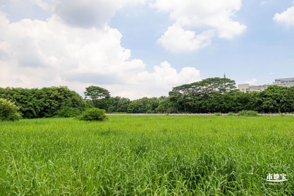 光明明湖公园