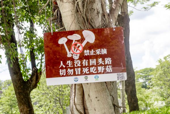 大浪文化公园
